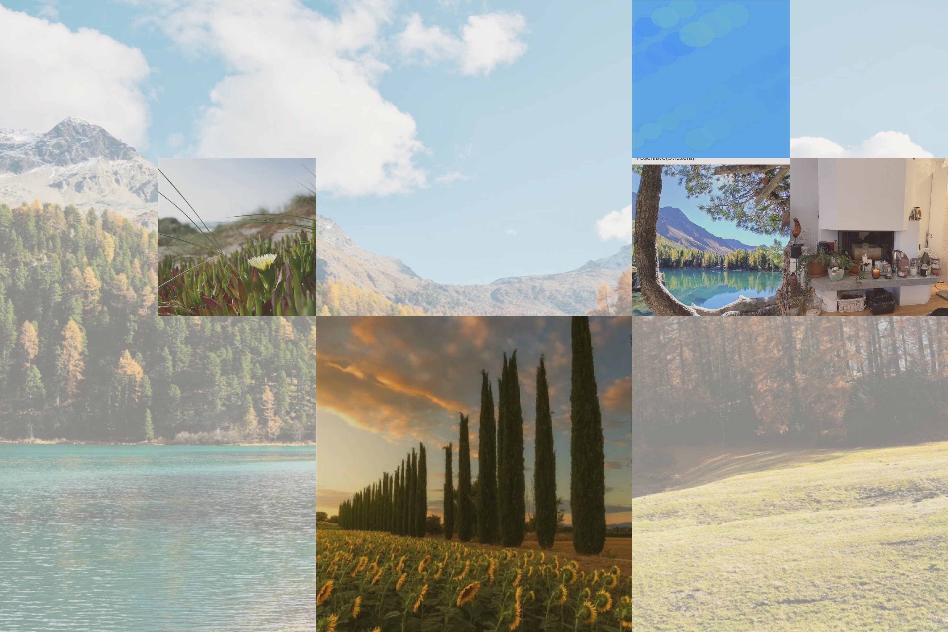 Il quadro di Soultile